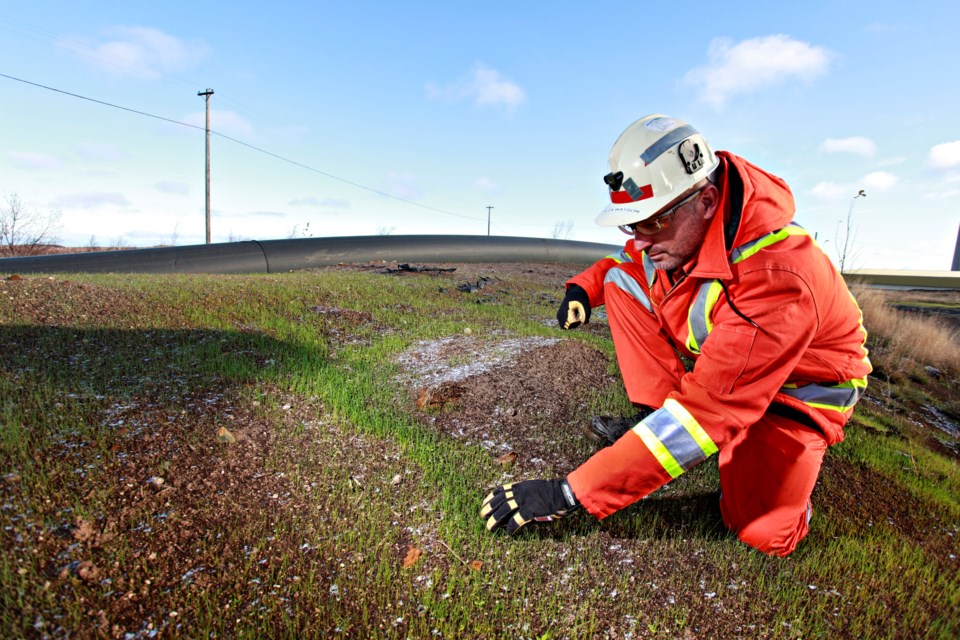 Vale Tailings Reclamation  (16)[172]